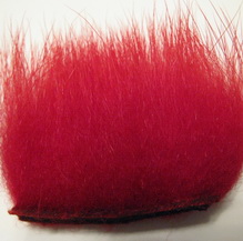 polar bear red premium